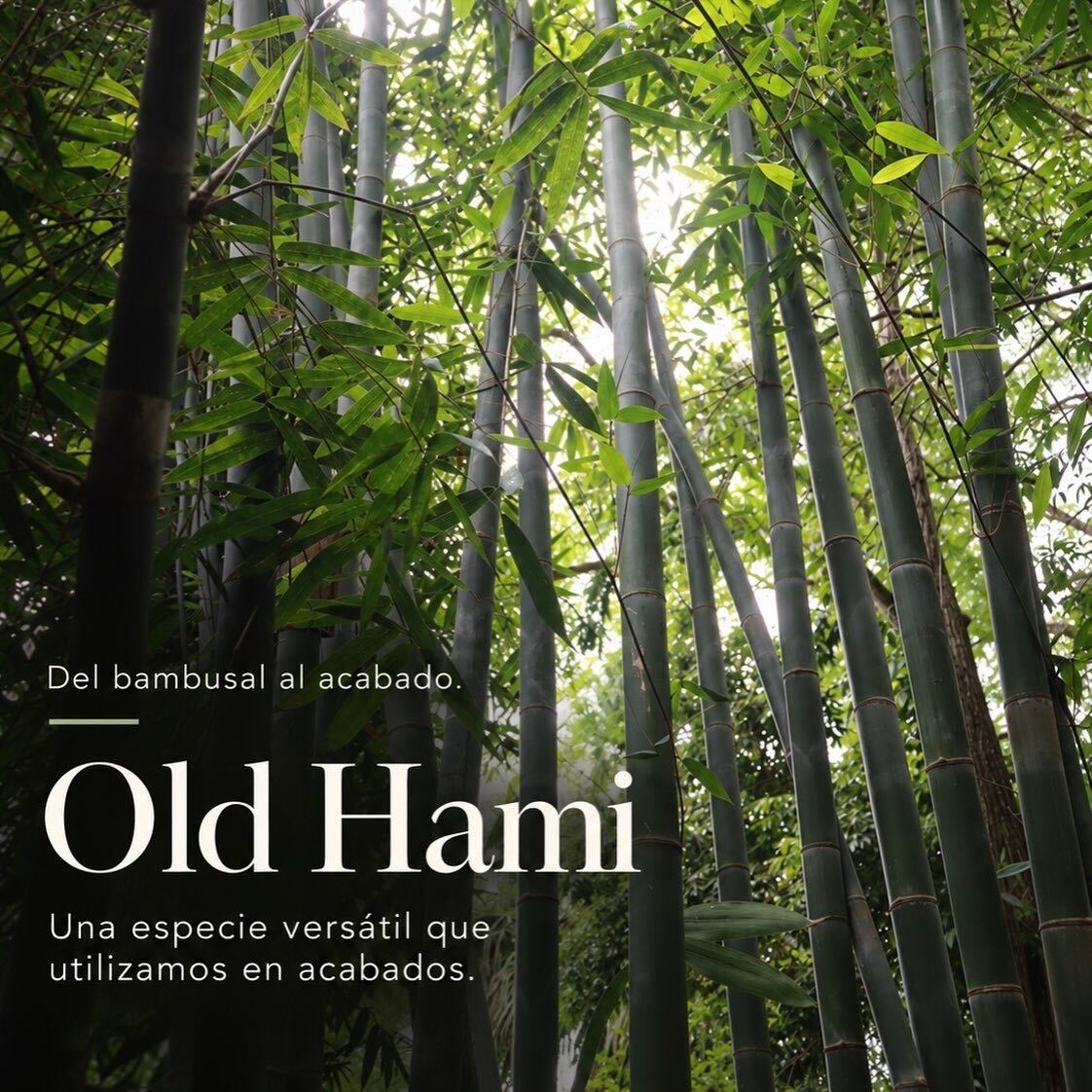 Old Hami