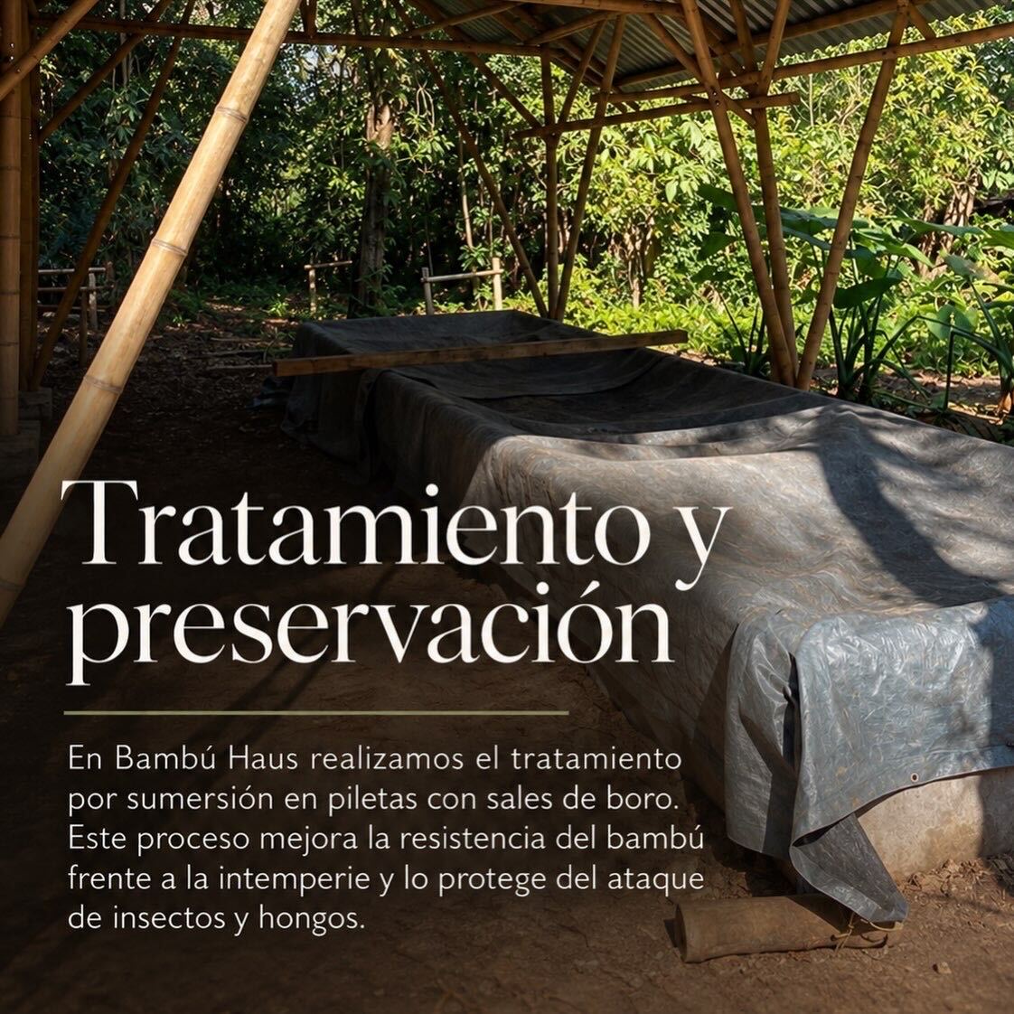 Tratamiento y preservación