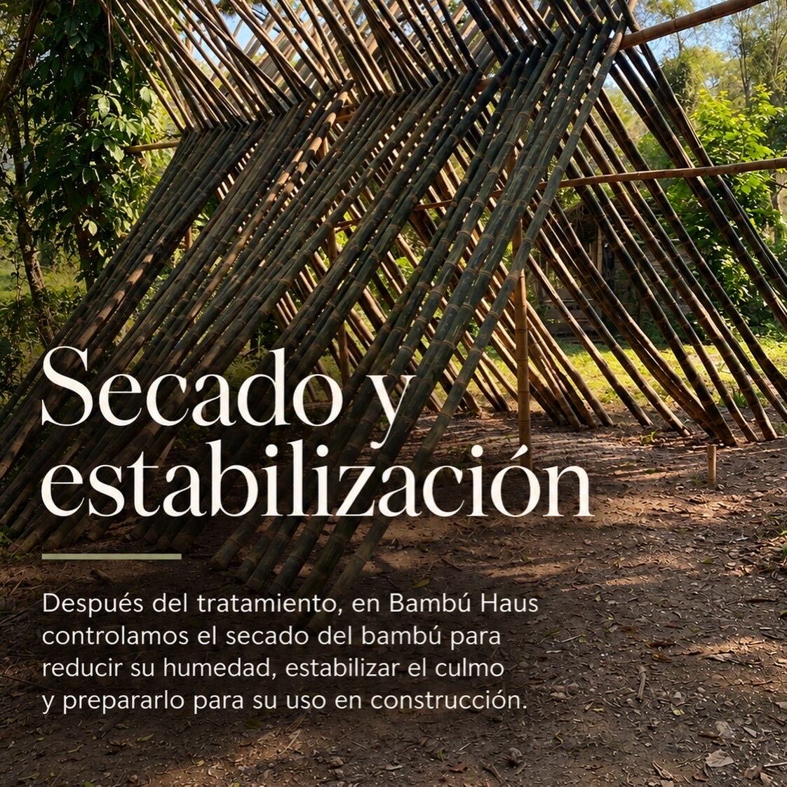 Secado y estabilización