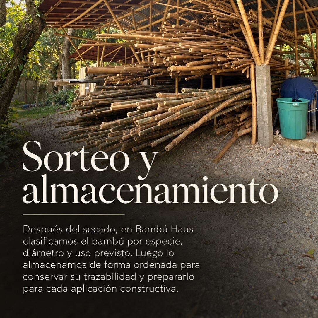 Sorteo y almacenamiento